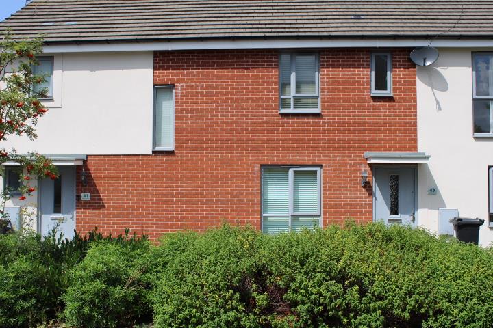 Wallshut Wood, Bristol